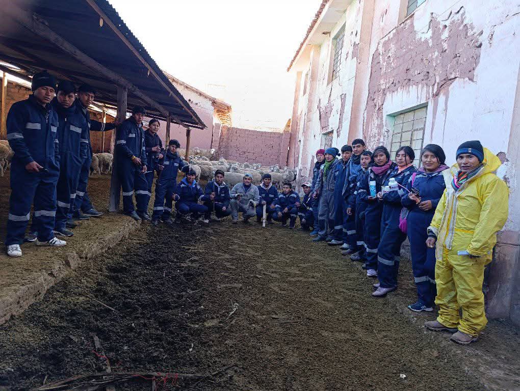 Solidaridad